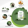 Fairvital Bee pollen with royal jelly and propolis - high