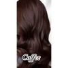 Shampoo Tinte Cubre Canas 500ml Jengibre Color Coffee Brown