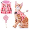 Cat Harness with Escape Proof - Fashionable Mesh Cat Dog