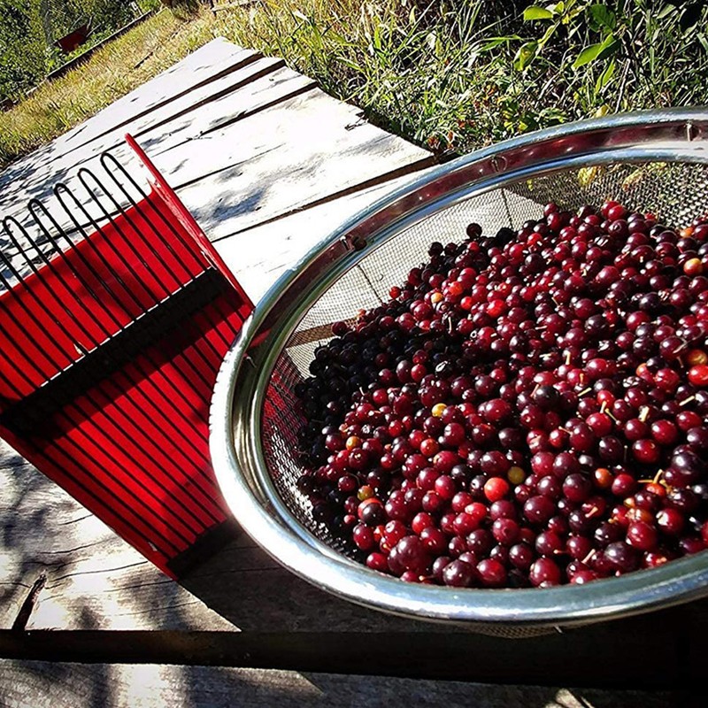 Blueberry Picker Scoop Berry Rake Hand Garden Farm Tool with