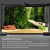 YongFoto Reptile Terrarium Background 30x12 inch Reptile Tank Background Tropical