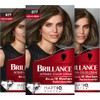 Brillance Intensive Colour Cream 877 Ash Light Brown (3 x