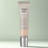 Anjumain Hanskin Blemish Cover Concealer 12g, natural, 1 pc. /