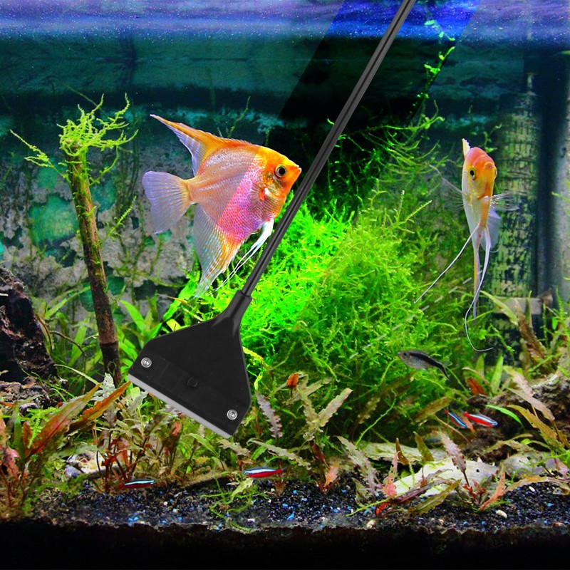 PEUTIER Algae Scraper for Glass Aquariums, 24.4 inch Extendable Handle