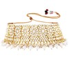 Aheli Faux Pearl Choker Necklace with Earrings Indian Traditional Bollywood