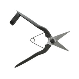 Okatsun 207 Matsuha Shears, BP Included