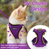 rabbitgoo Cat Harness and Leash for Walking, Escape Proof Soft