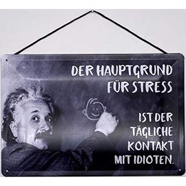 Blechschild With cord 30 x 20 cm Albert Einstein: The main reason for stress is daily contact with idiots. - Blechemma
