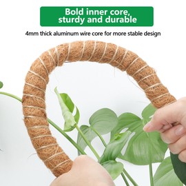 3 Pack Moss Pole,31 Inch Monstera Plant Support,Bendable Plant Trellis Moss Pole for Plants Monstera,Moss Poles for Climbing Plants Indoor,Coir Plant Pole Sticks Support Stakes (3pcs)