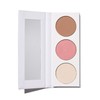 W3LL PEOPLE - Natural High Vibrations Powder Trio Clean, Non-Toxic