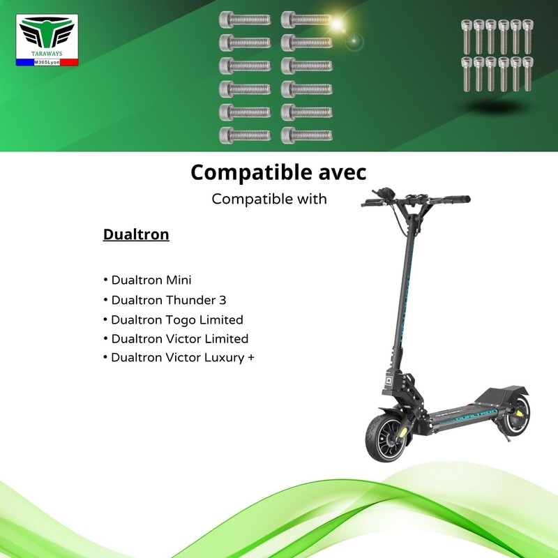 M365Lyon - Motorised Rim Bolt Dualtron Mini, Dualtron Togo Limited,