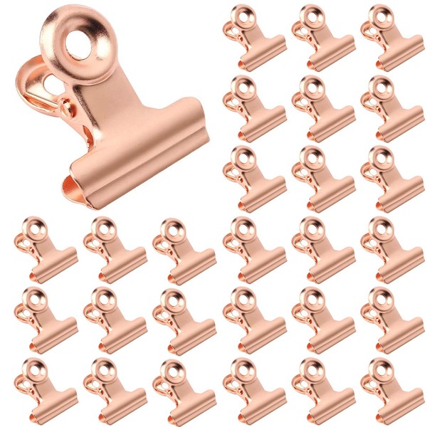 30 Pcs Small Hinge Clips, 1 Inch Binder Clip Stainless