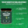 EOCUTE 9 in 1 Mullein Leaf Extract Gummies for Lung