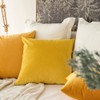 MIULEE Pack of 2 Velvet Soft Decorative Square Throw Pillow