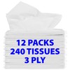 Car Tissue Refill - 12 Packs of 20, 3-Ply Tissues,