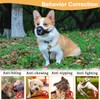 Mayerzon Dog Muzzle with Adjustable Strap to Prevent Biting Fierce