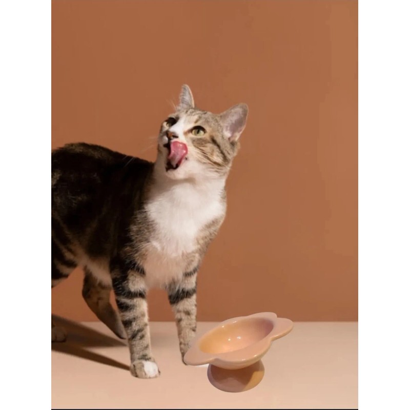 Eccolo Cat Bowl Ceramic Raised Tilted Elevated Cat Food Dish