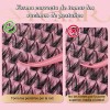 Kit Pestañas Naturales Wispy Nycaar Con Pegamento Diy