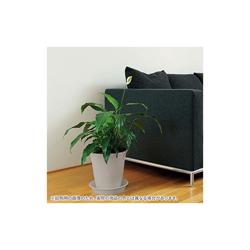 Richell Ecole Hypot No. 8 (White)