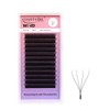 COAST GIRL 4D W Lashes Eyelash Extensions Premade Volume Fans