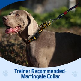 Kazazoo Martingale Collar for Dogs with Quick Release Buckle Adjustable Soft Durable Dog Collar for Small Medium Large No Pull Training Dog Collars-Black Sunflower S