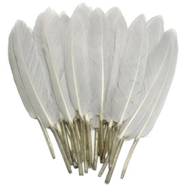 FeelfunFeather 120pcs Light Grey Goose Cochettes Feather Natural bulk 4-6 inch 10-15cm for Wedding Party Christmas Decorations DIY Crafts Goose Cochettes Feather