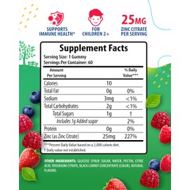 Zinc Gummies for Kids - Chewable Zinc Gummy Supplement for Children Immune Support - Low Sugar Natural Antioxidant Non-GMO Vitamin Chewables for Toddlers & Teens - 60 Gummies