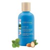 Terramar Shampoo Anticaspa Seda Scalp Aid