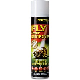 Insecto Pro Formula Fly & Wasp Destroyer 300ml