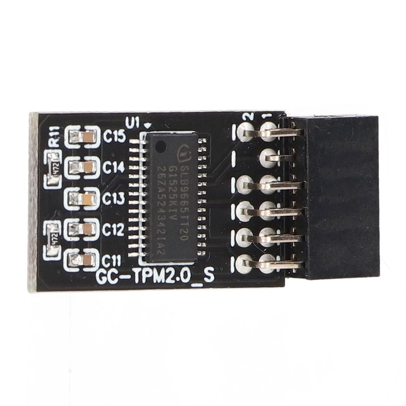TPM 2.0 Module LPC SPI 12Pin Remote Card Encryption Security
