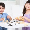 Magnetic Chess Game for Kids and Adults Tabletop Multiplayer Magnet