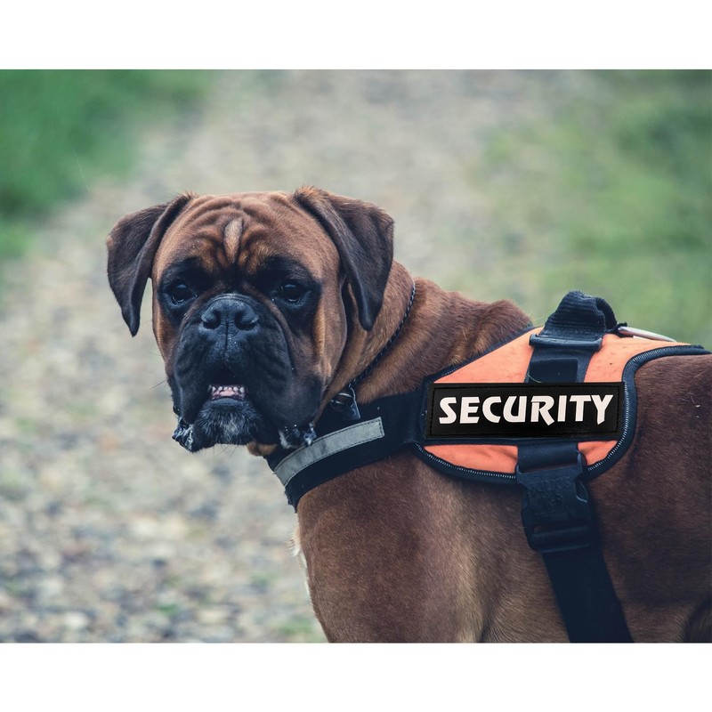 4 Pcs Reflective Dog Patches for Service Dog Vest Tactical