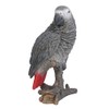 Vivid Arts XRL-AFGPs-D Grey Parrot Parrot Resin Garden Decoration
