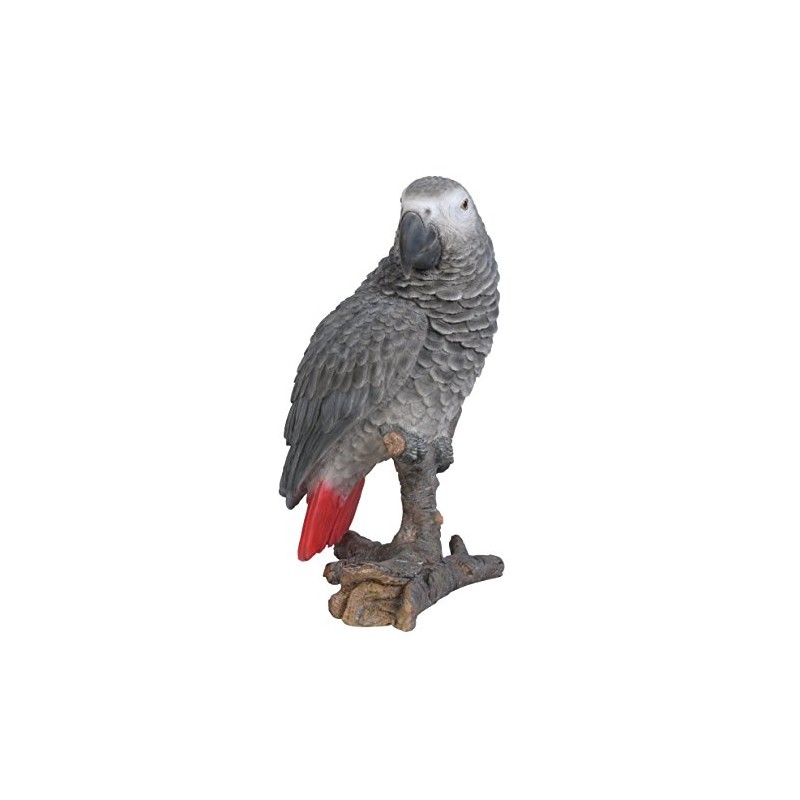 Vivid Arts XRL-AFGPs-D Grey Parrot Parrot Resin Garden Decoration