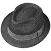 Stetson Rowlett Toyo Trilby, Sun Hat, Beach Hat, Summer Hat,