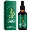 QJCWXIAOX Mullein Drops for Lungs, Mullein Leaf Extract with Chlorophyll,Mullein