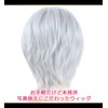 CaseEden 6041 Premium Cool Short Hair Wig, Silver, Silver, Silver