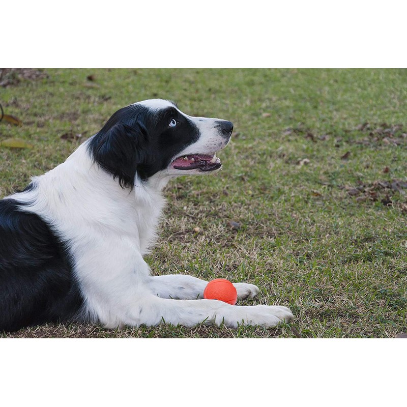 GaesQae Hard Rubber Balls for Dogs,Dog's Solid Rubber Bouncy Ball