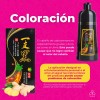 Shampoo Tinte Instantaneo Cubre Canas Natural Jengibre 500ml