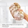 Esponja de mar natural Naroa XL – Exfoliante corporal ecológico
