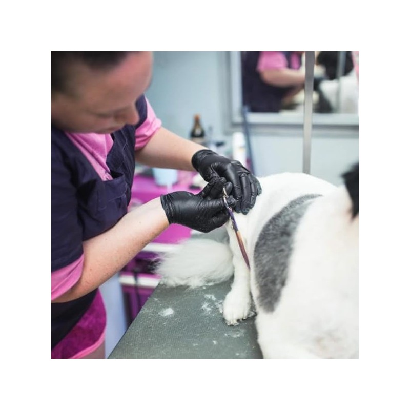 Delta Industrial Powder Free Nitrile Gloves 6gm, Disposable, Food Safe,