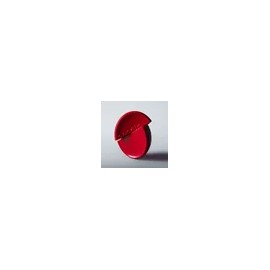 Espoir [APP전용] 프로테일러 비벨벳 플루이드 파운데이션 [APP Exclusive] Pro Tailor Velvet Fluid Foundation