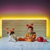 phopollo Led Lights 40ft (2 Rolls of 20ft) for Bedroom