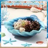 Reallnaive 1 Pack 10 Inch Seashell Decorative Bowl Large Resin