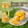Canned Freeze-Dried Jackfruit Chips - 7oz Airtight Tin | 100%