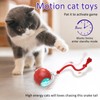 Giociv Interactive Cat Toys Ball for Indoor Cats Fast Rolling
