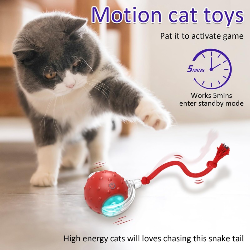 Giociv Interactive Cat Toys Ball for Indoor Cats Fast Rolling