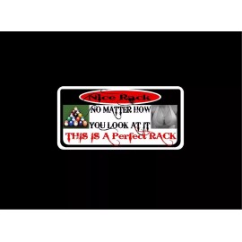 Unbranded 2 Nineball Practice decals 2x4  for Cuetec pool players