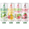 ELEPHANT WORLD 100% Natural Juices | Assorted Superfruits | Soursop-Mango-Guava-Lychee