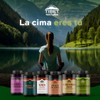 TIBET NATURA - Astragalus 60 Cápsulas 500 mg c/u -